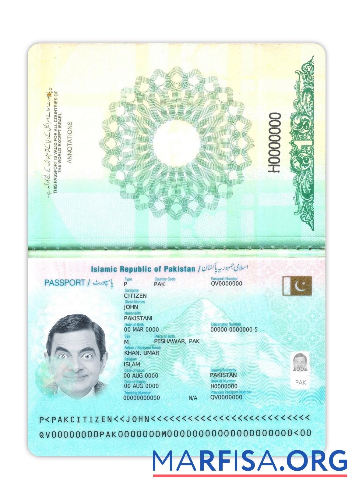 Downloadable Pakistan passport 2023 present example